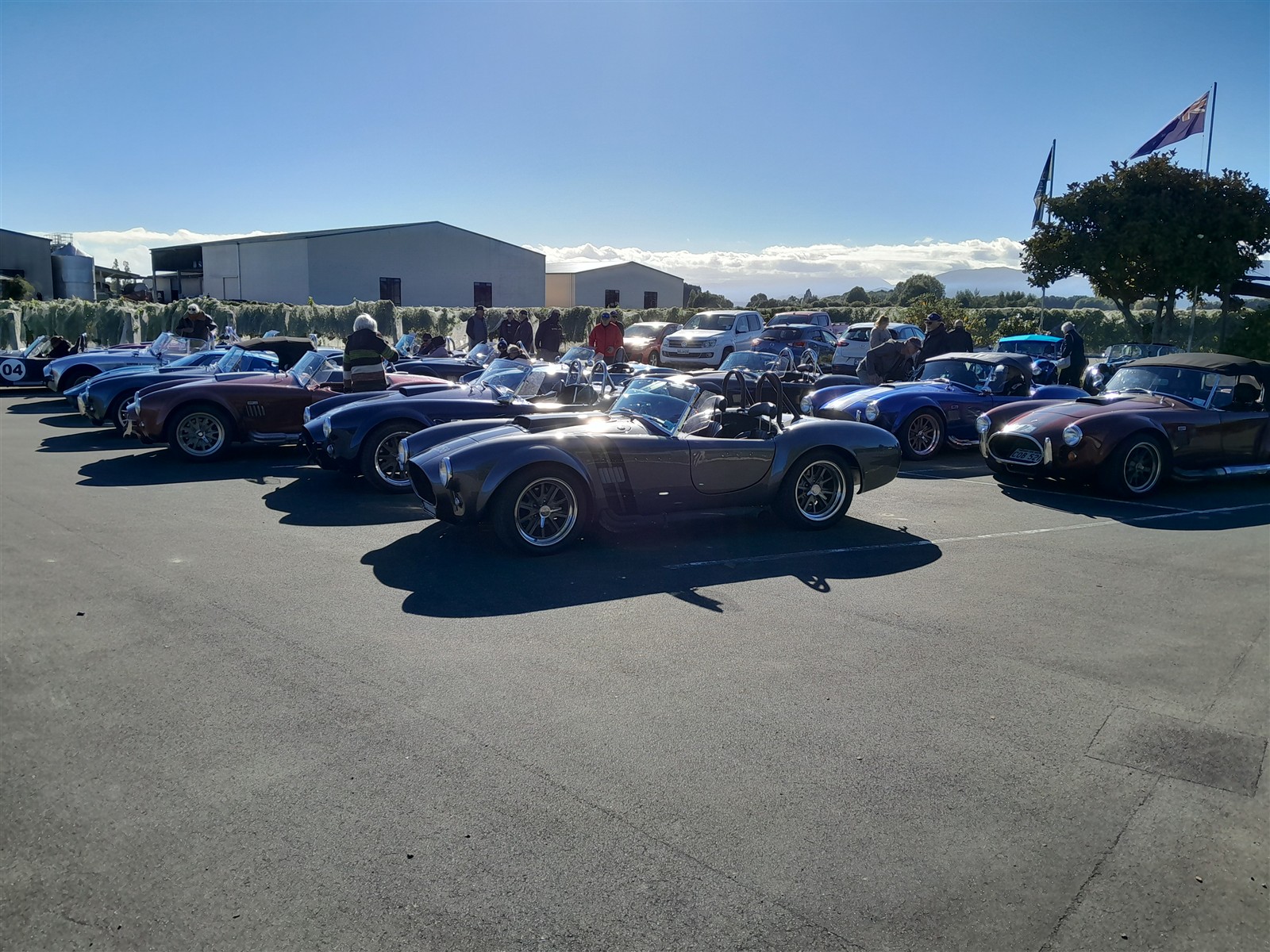 Cobra Club NZ
